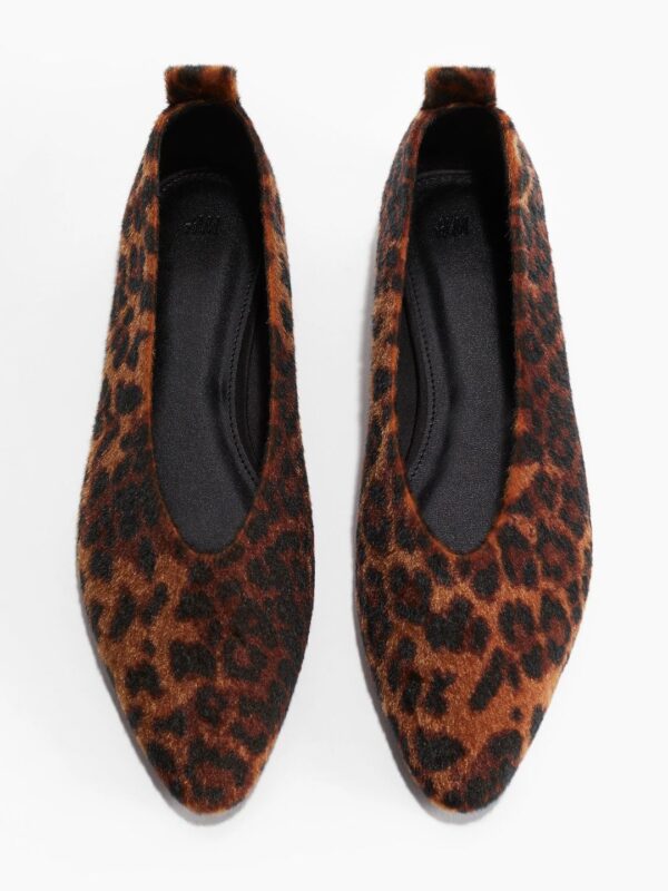 Elegant Ballet Flats